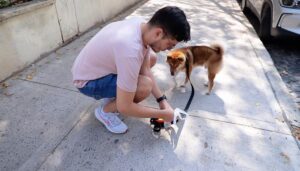 Levantar la caca del perro: un hábito clave para cuidar veredas, plazas y parques
