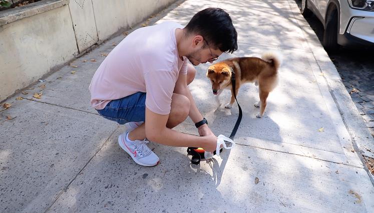 Levantar la caca del perro: un hábito clave para cuidar veredas, plazas y parques