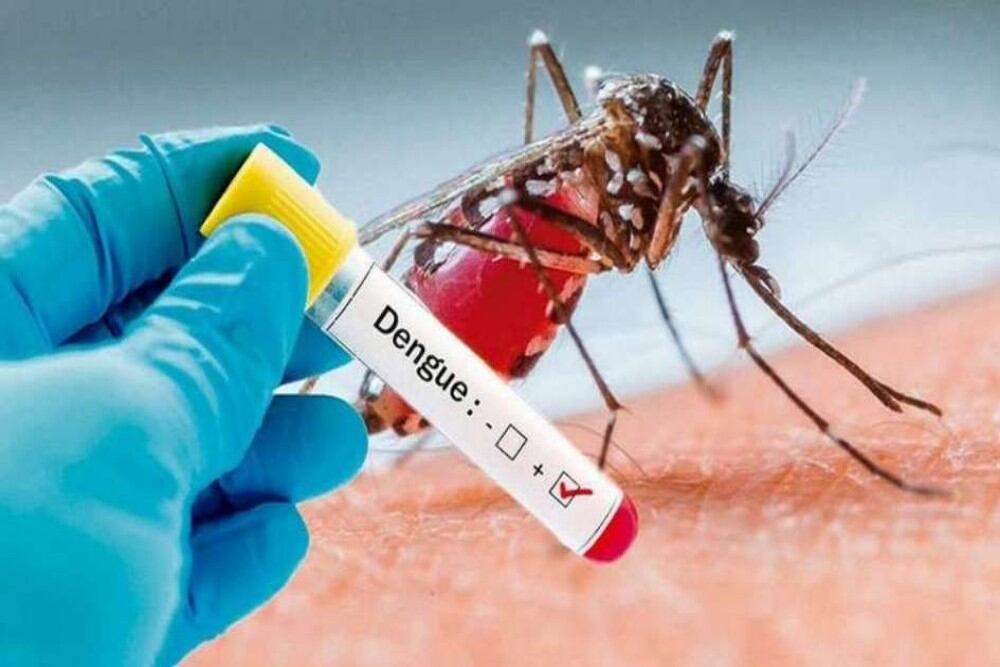 Dengue: abren turnos para jóvenes de 25 a 29 años y segundas dosis