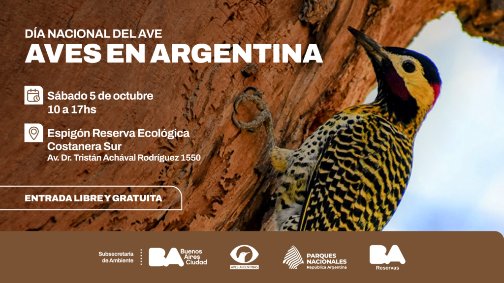 La Reserva Costanera Sur celebra el Día del Ave con salidas, charlas y feria sustentable
