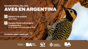 La Reserva Costanera Sur celebra el Día del Ave con salidas, charlas y feria sustentable