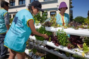 Una jornada de voluntariado puso manos a la obra en la huerta hidropónica del CIFA