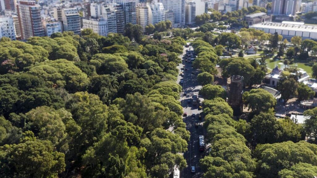 Más de 16.500 árboles nuevos reforzaron el paisaje porteño durante 2025