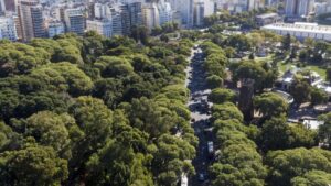Más de 16.500 árboles nuevos reforzaron el paisaje porteño durante 2025