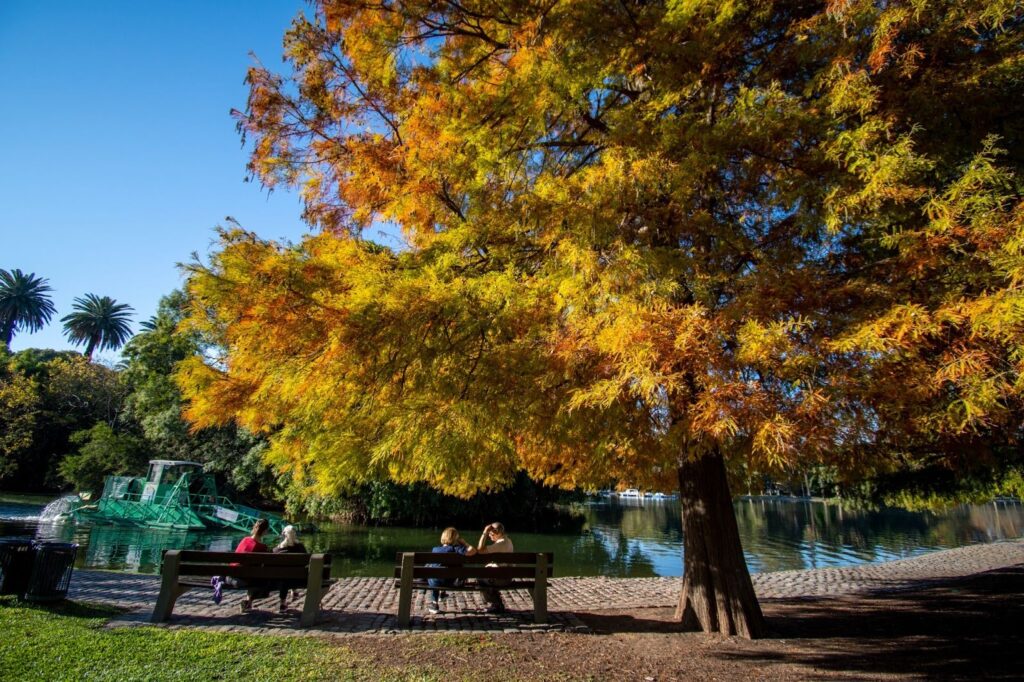 Los árboles de Buenos Aires cambian de color y anticipan el otoño