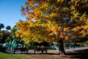 Los árboles de Buenos Aires cambian de color y anticipan el otoño