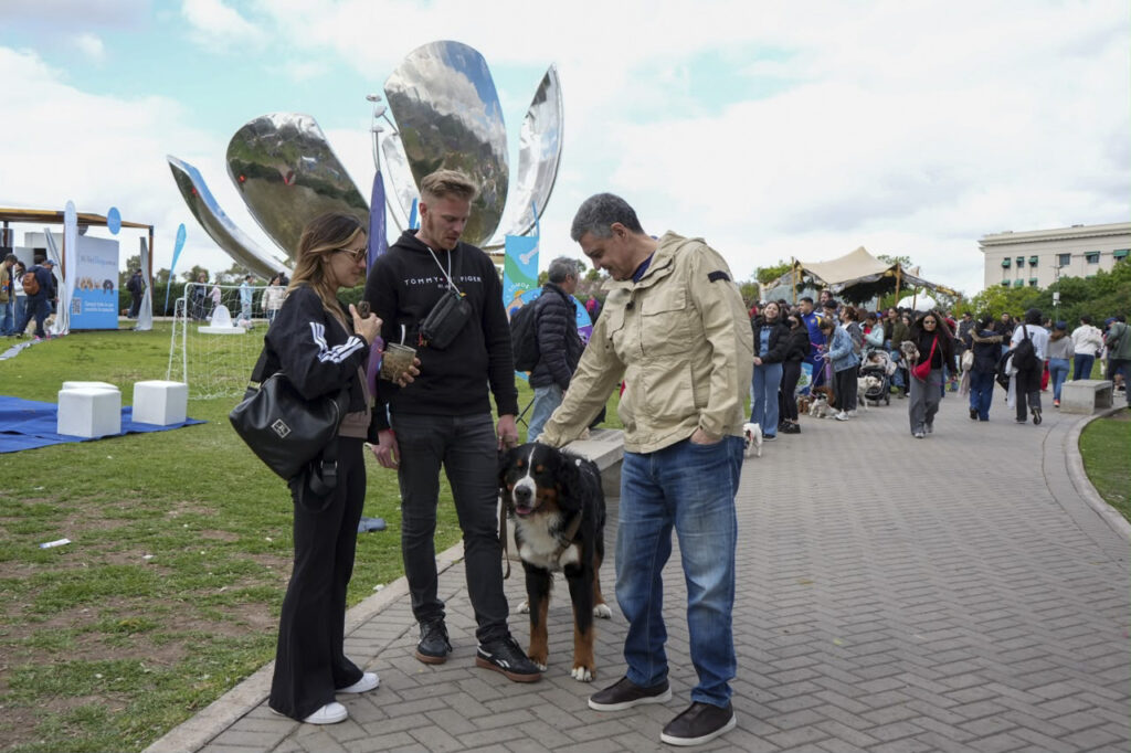 La Ciudad propone DNI digital para perros y gatos