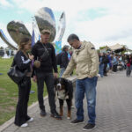 La Ciudad propone DNI digital para perros y gatos