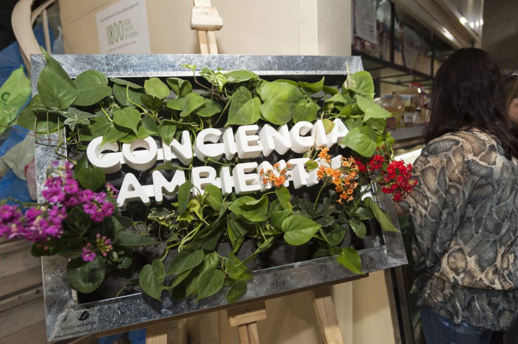 Conciencia ambiental: hábitos para cambiar la rutina